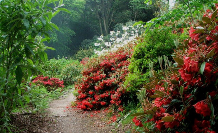 Achamore Gardens, United Kingdom